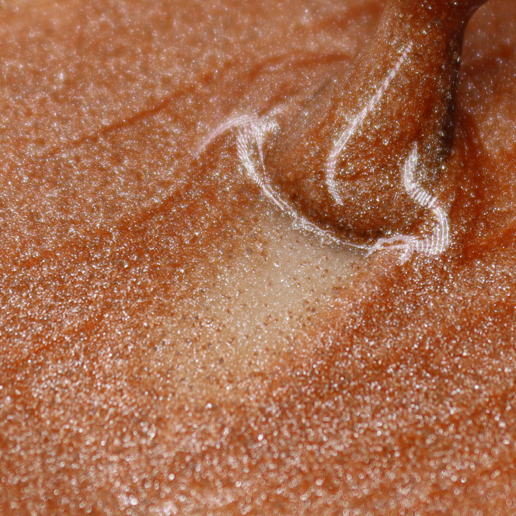 Collection Smoothie – Image 6