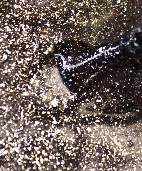 Gun Metal vernis semi permanent