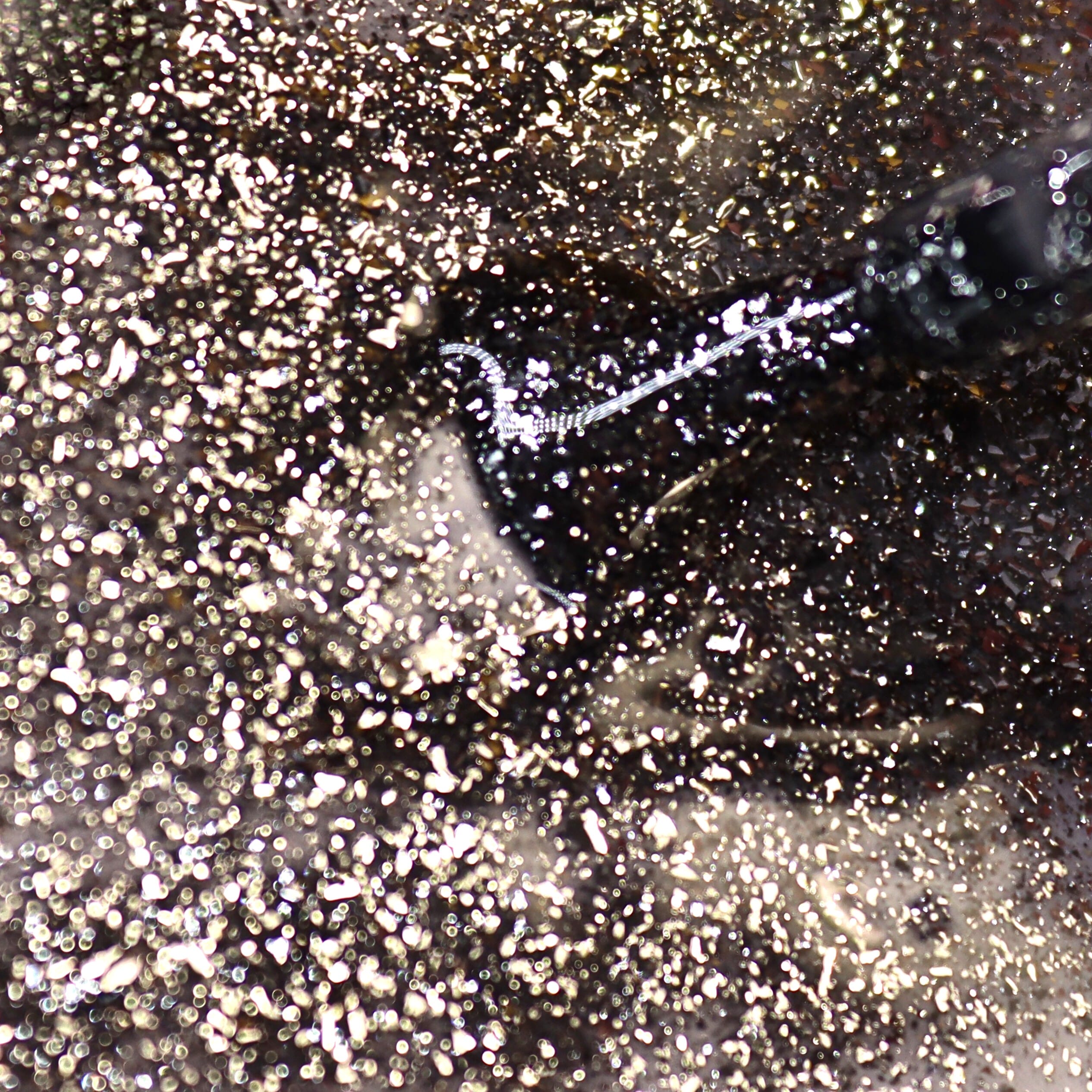 Gun Metal vernis semi permanent