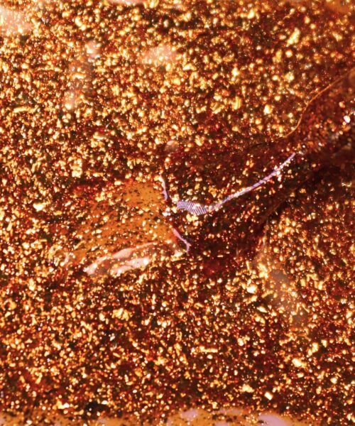 vernis semi permanent prodigieux