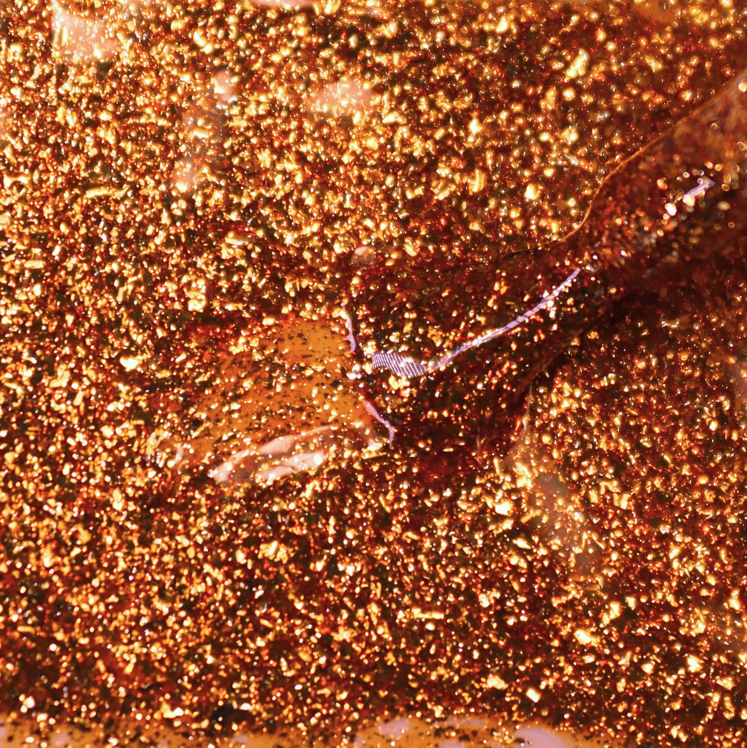 vernis semi permanent prodigieux