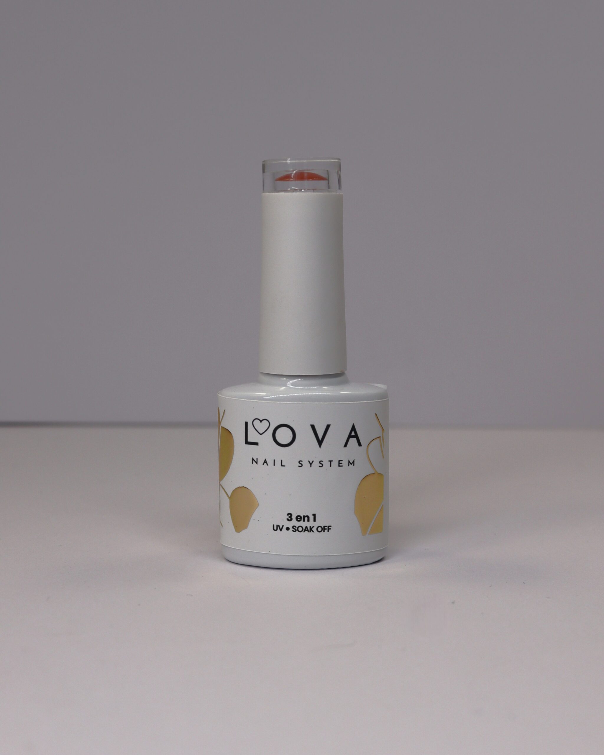 One Mocha – Image 2