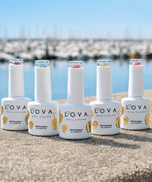 Sortie Riviera