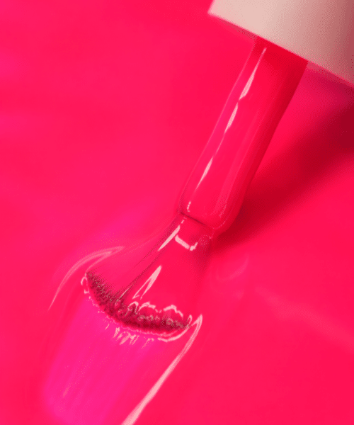 Fucshia macro